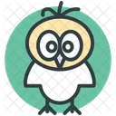 Sagesse Diplome Hibou Icône