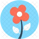 Sagittaire Graminea Fleur Icon