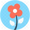 Sagittaria Graminea Flower Icon