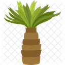 Sago Palm Palm Tree Beach Icon