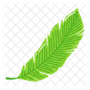 Leaf Ash Leaf Beech Leaf Icon