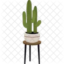 Saguaro Plant Pot House Plant Icon