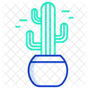 Saguaro Cactus Icon