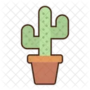 Saguaro Cactus Cactus Nature Icon