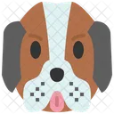 Saint Bernard Dog Pet Icon
