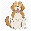 Saint Bernard Dog Puppy Icon