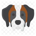 Saint Bernard dog  Icon