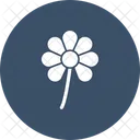 Saint Patricks Flower  Icon
