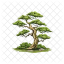 Sakaki Tree Icon