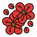 Sakura Cherry Blossom Flower Icon