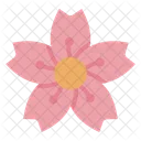 Sakura Flower Blossom Icon