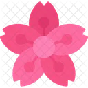 Sakura Cherry Blossom Flower Icon