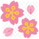 Sakura  Icon