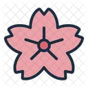 Sakura Cherry Blossom Flower Icon
