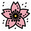 Sakura Flower Spring Icon