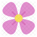 Sakura  Icon