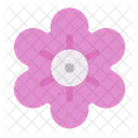 Sakura Flower Floral Icon