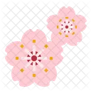 Sakura Flower Perfume Icon