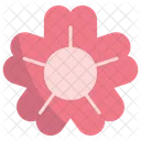 Sakura Flower Japanese Icon