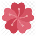 Sakura Flower Flora Icon