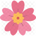Sakura Flower Cherry Icon