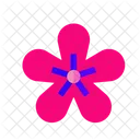 Sakura Flower Spring Icon