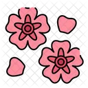 Sakura Flower Floral Icon