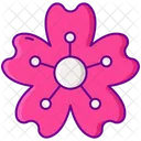 Msakura Blume Sakura Blume Blume Symbol