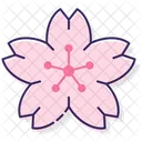 Msakura Blume Sakura Blume Blume Symbol