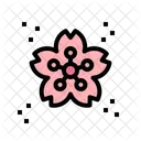 Sakura Blume Sakura Blume Icon