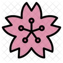 Sakura Blume Kirschblute Japan Fruhling Pink Icon