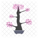 Nature Bonsai Tree Icon