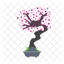 Nature Bonsai Tree Icon