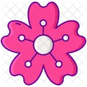 Sakura Flower Icon