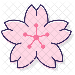 Download Free Sakura Flower Icon Of Colored Outline Style Available In Svg Png Eps Ai Icon Fonts