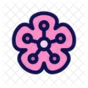 Cherry Blossom Sakura Flower Icon