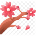 Sakura Flower Spring Icon