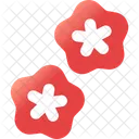 Sakura Flower Spring Icon