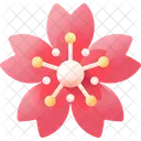 Sakura Flower Spring Icon