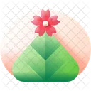 Sakura Flower Spring Icon
