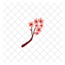 Sakura Flor Florecer Icono