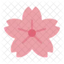 Sakura Cherry Blossom Flower Icon