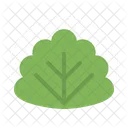 Leaf Mochi Sakuramochi Icon