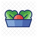Salad Food Drink Icon