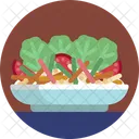 Food Salad Vegetable Icon