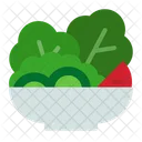 Salad Food Vegetable Icon