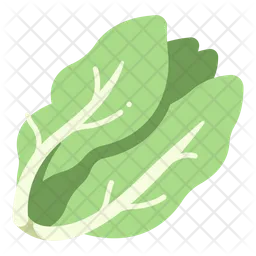 Salad  Icon