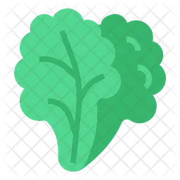Salad  Icon