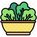 Salad Bowl Salad Food Icon
