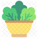 Salad Bowl  Icon